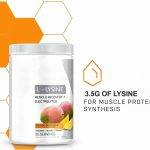 L – Lysine Powder